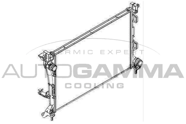 Radiator, engine cooling (107086)