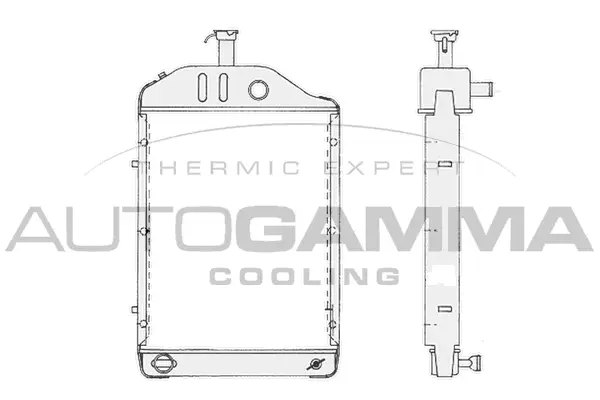 Radiator, engine cooling (402902)
