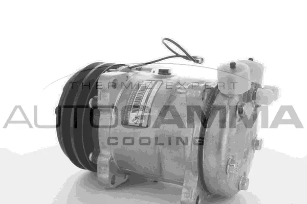 Compressor, air conditioning (108943)
