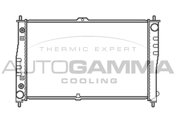 Radiator, engine cooling (103608)