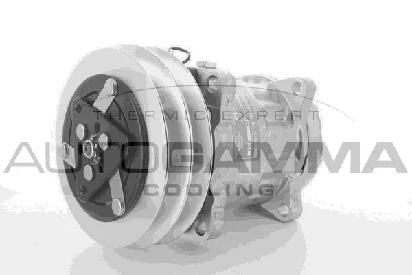 Compressor, air conditioning (108890)