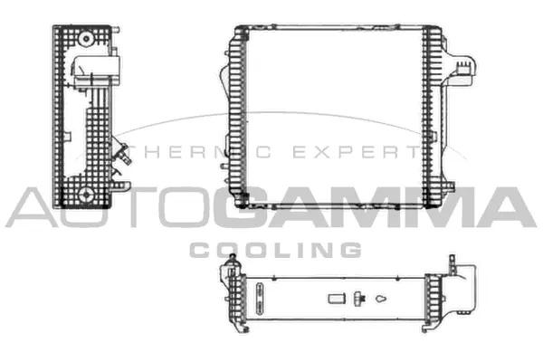 Radiator, engine cooling (404670)