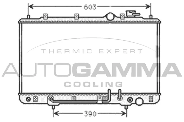 Radiator, engine cooling (101442)