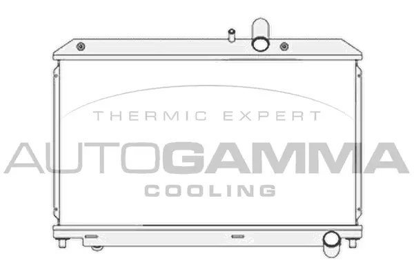 Radiator, engine cooling (104682)