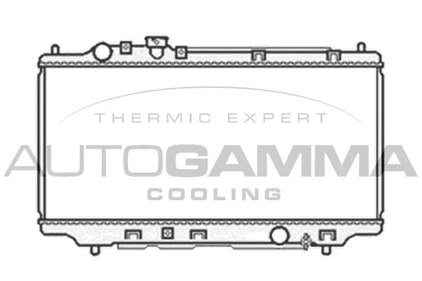 Radiator, engine cooling (103854)