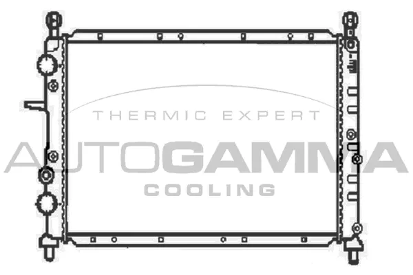 Radiator, engine cooling (100266)