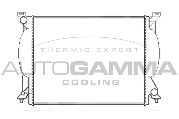 Radiator, engine cooling (102981)