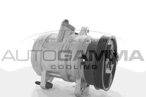Compressor, air conditioning (118483)