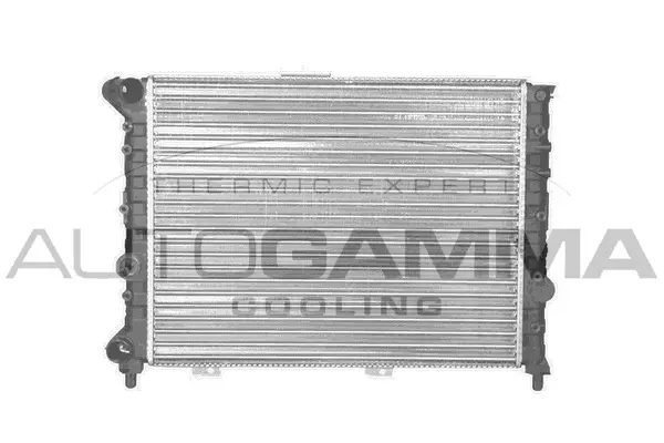 Radiator, engine cooling (101143)