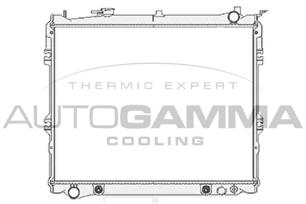 Radiator, engine cooling (103804)
