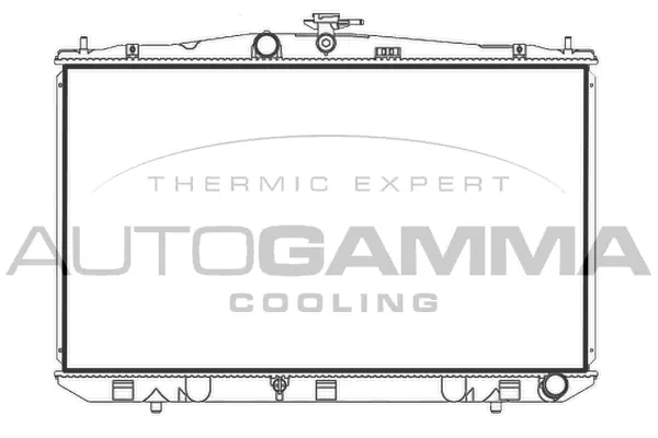 Radiator, engine cooling (107963)
