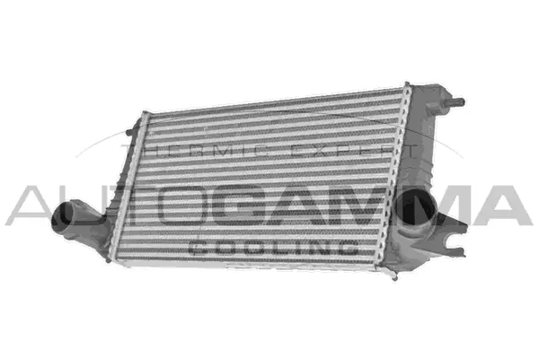 Charge Air Cooler (107743)