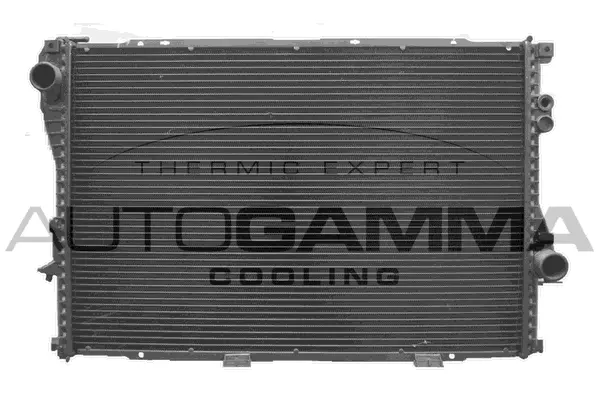 Radiator, engine cooling (102042)
