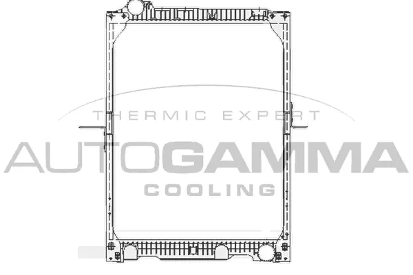 Radiator, engine cooling (404346)