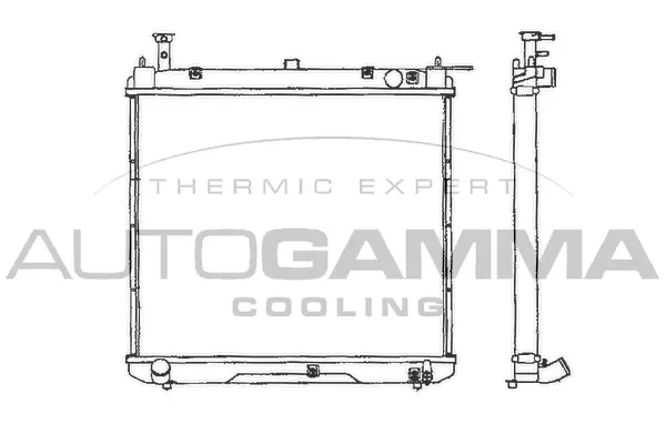 Radiator, engine cooling (101307)