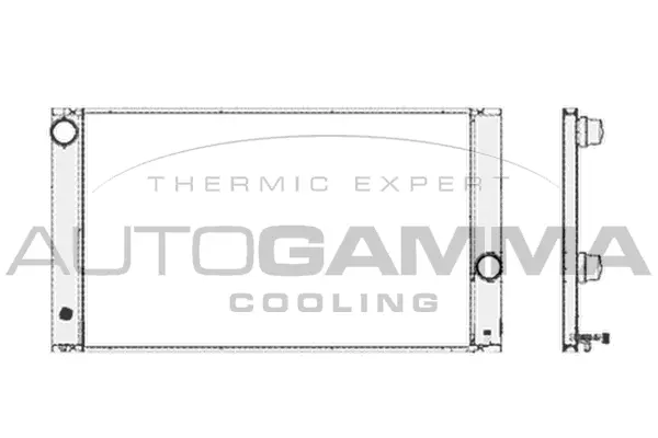 Radiator, engine cooling (103387)