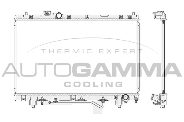 Radiator, engine cooling (102372)