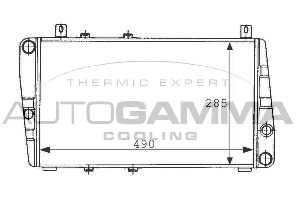 Radiator, engine cooling (100967)