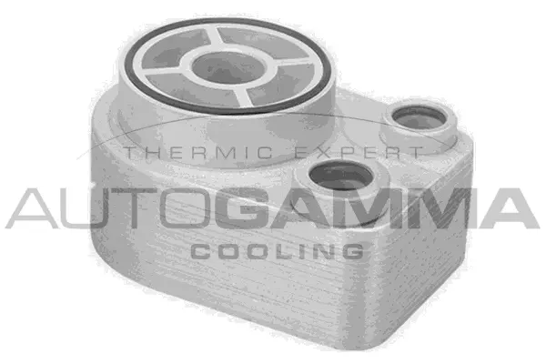 Oil Cooler, engine oil (107926)