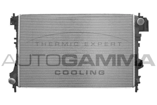 Radiator, engine cooling (103236)