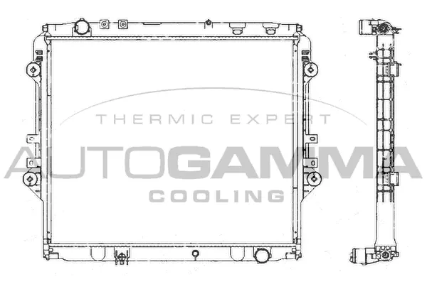 Radiator, engine cooling (107986)