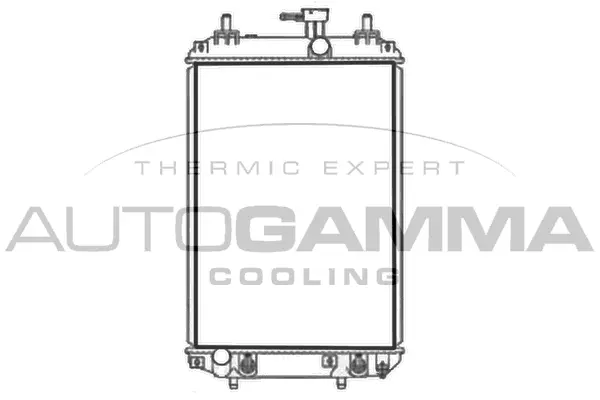 Radiator, engine cooling (107728)