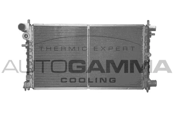 Radiator, engine cooling (100737)