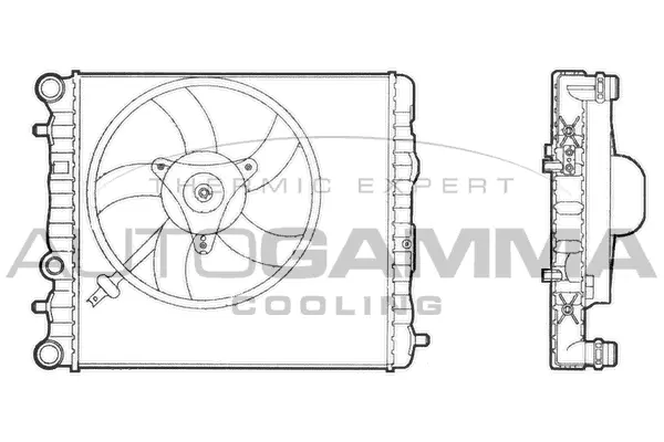 Radiator, engine cooling (102871)