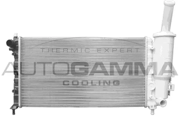 Radiator, engine cooling (103737)