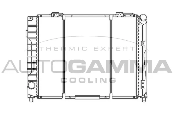 Radiator, engine cooling (100020)