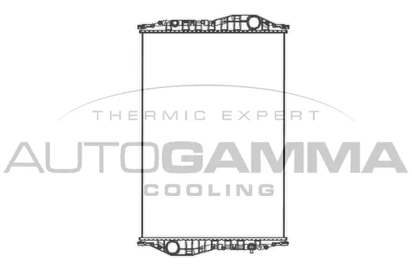 Radiator, engine cooling (405084)