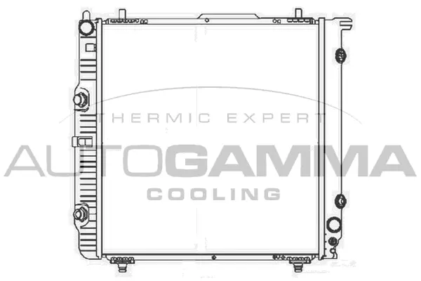 Radiator, engine cooling (103266)