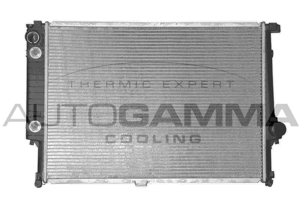 Radiator, engine cooling (100131)
