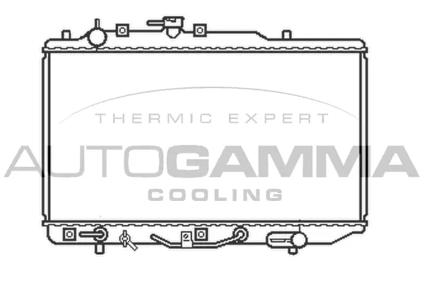 Radiator, engine cooling (100476)