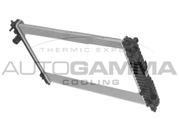 Radiator, engine cooling (107946)