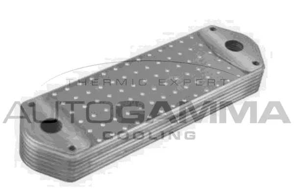 Oil Cooler, engine oil (107802)