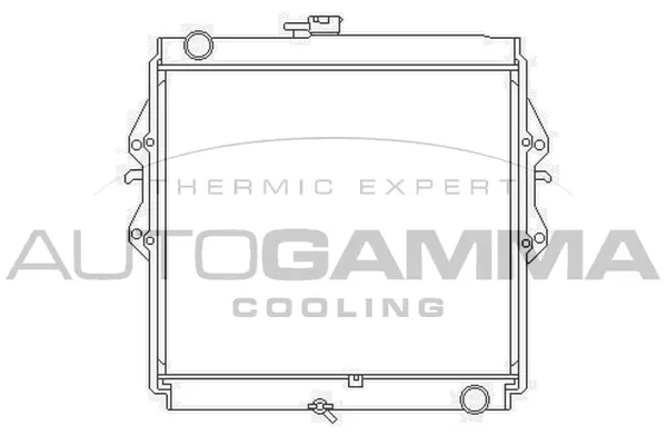 Radiator, engine cooling (105906)