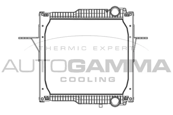 Radiator, engine cooling (404896)