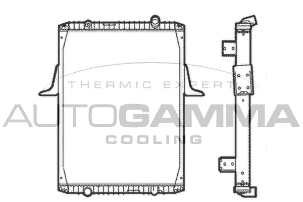 Radiator, engine cooling (401024)