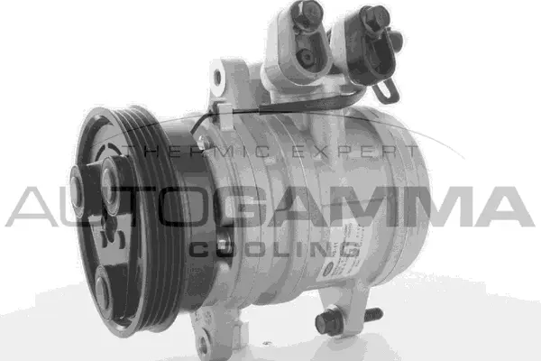 Compressor, air conditioning (108687)
