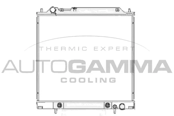 Radiator, engine cooling (102179)