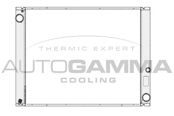 Radiator, engine cooling (104667)