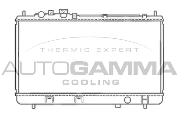 Radiator, engine cooling (103056)