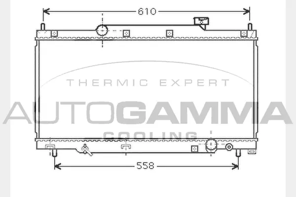Radiator, engine cooling (104319)