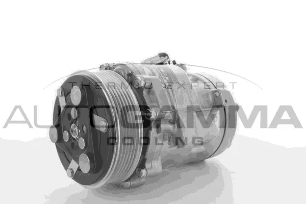 Compressor, air conditioning (108483)