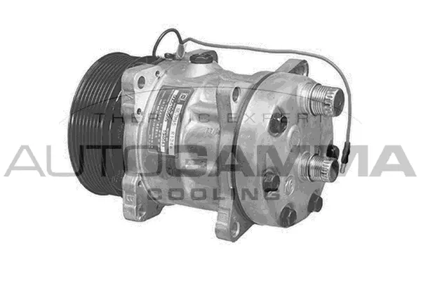 Compressor, air conditioning (108100)