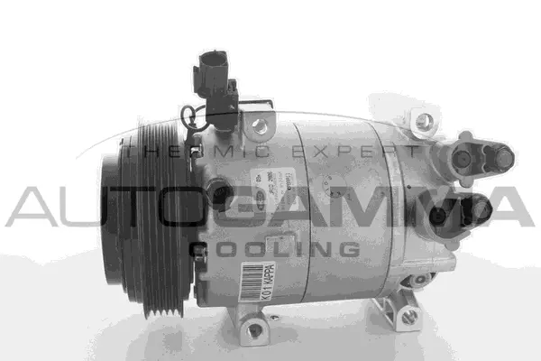 Compressor, air conditioning (118510)