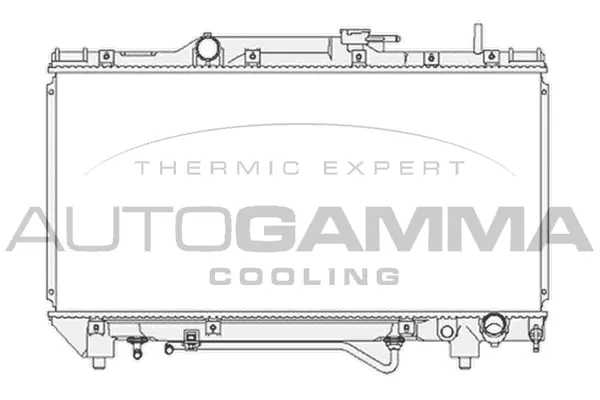 Radiator, engine cooling (103857)