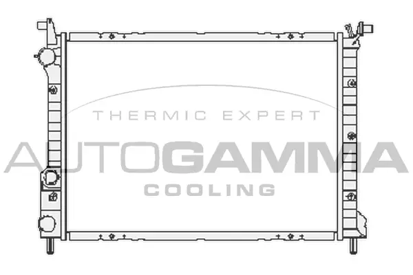 Radiator, engine cooling (101191)