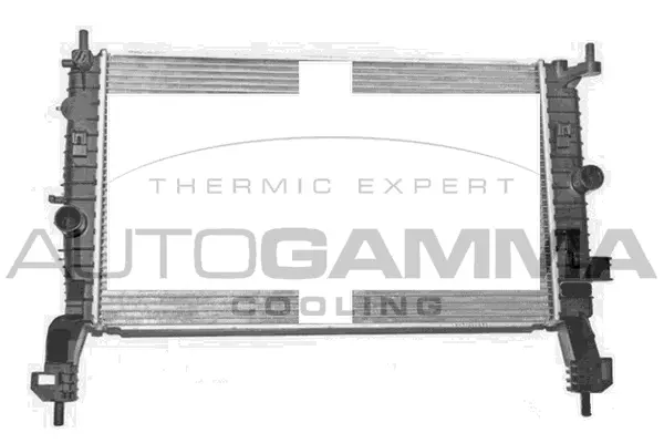Radiator, engine cooling (107236)
